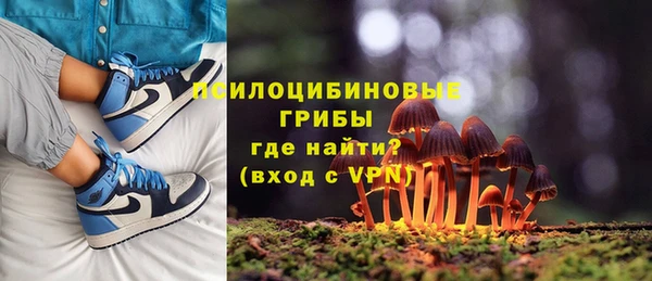 молекула духа Липки