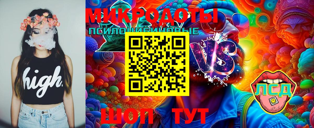 Псилоцибиновые грибы мухоморы Лысьва
